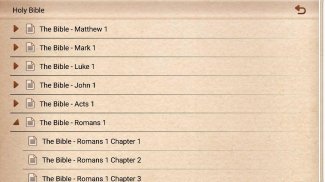 New Testament of Holy Bible screenshot 1