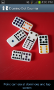 Domino Dot Counter Demo screenshot 0