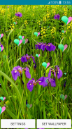 Lebende Tapeten violette Blume screenshot 2
