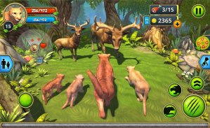 Mountain Lion Family Sim : Animal Simulator screenshot 4