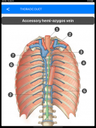 Anatomy Atlas for Students - Lite Version screenshot 6