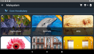 Malayalam Language Tests screenshot 9