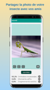 InsectID - Identifier insectes screenshot 3