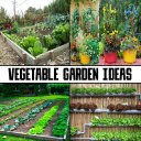 Vegetable Garden Ideas - Baixar APK para Android | Aptoide