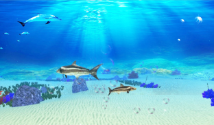 The Cobia screenshot 3