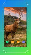 Deer Wallpapers screenshot 7