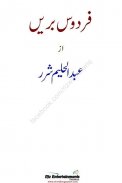 Firdos e Barrein (Urdu Novel) screenshot 0