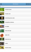 Plant diseases screenshot 8