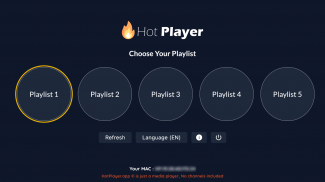 Hot Player screenshot 1