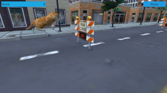 Cute Pocket Cat And Puppy 3D screenshot 2