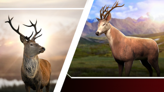 Animal Hunter Deer Hunt Game screenshot 2
