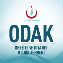 Obezite ve Diyabet Klinik Rehberi Icon