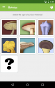 Boletus Lite - mushrooms screenshot 6