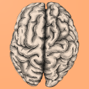 Glasgow Coma Scale  (GCS)  Pro