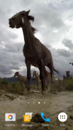 जंगली घोड़ों वॉलपेपर रहते हैं screenshot 1