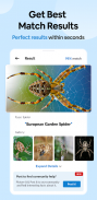 Insect Spider & Bug identifier screenshot 1