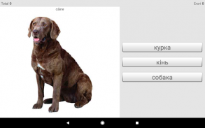 Învăță cuvinte în limba Ucraineană cu Smart-Teache screenshot 2