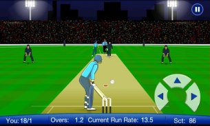 Power Cricket T20 League 2015 screenshot 3