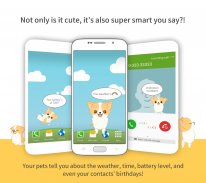 Hellopet - Милые кошки и собаки screenshot 4
