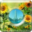 Sunflowers 3D PhotoFrames Icon