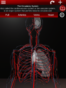Circulatory System 3D Anatomy screenshot 12
