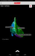HEART - Digital Anatomy Atlas screenshot 13
