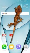 Gecko Sur l’Ecran Blague screenshot 0
