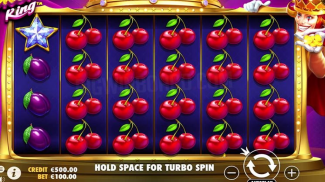 DoubleGold Casino Slot Machine screenshot 2