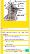 Anatomy and Physiology Notes screenshot 4