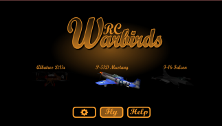 Warbirds RC screenshot 6