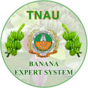 Banana Expert System Icon