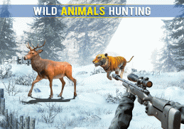 Forest Animal Hunting Games screenshot 5