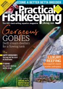 Practical Fishkeeping Magazine screenshot 2