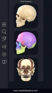 Skull Anatomy Pro. screenshot 7