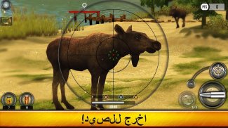 Wild Hunt:Sport Hunting Games. Hunter & Shooter 3D screenshot 0