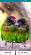 خلفيات حية - طيور الحب screenshot 6