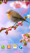 Flower Live Wallpaper screenshot 4