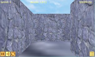 Maze 3D screenshot 3