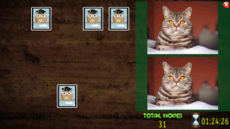 All Animals Pairs Memory Game screenshot 7