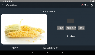 Croatian Language Tests screenshot 7