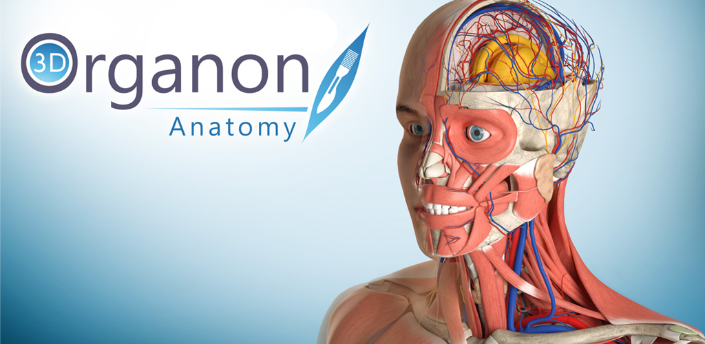 3d organon anatomy. 3d Organon VR Anatomy. Organon VR.