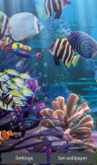 The real aquarium - Live Wallpaper screenshot 17