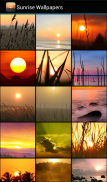 Sunrise Wallpapers screenshot 0
