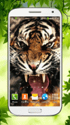 Tiger Fond d'écran Animé screenshot 2