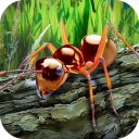 Ameisen Survival Simulator - geh zur Insektenwelt! Icon