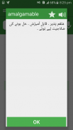 English Urdu Dictionary screenshot 4