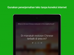 Penerjemah Microsoft screenshot 5