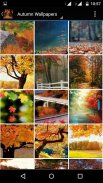 Autumn Wallpaper HD screenshot 6