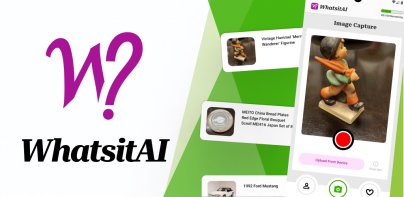 WhatsitAI: ID & Value Anything