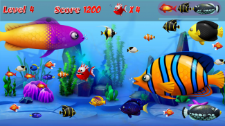 Hungry Piranha Fish screenshot 8